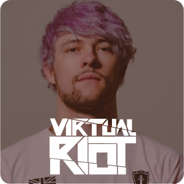 portrait of virtual riot